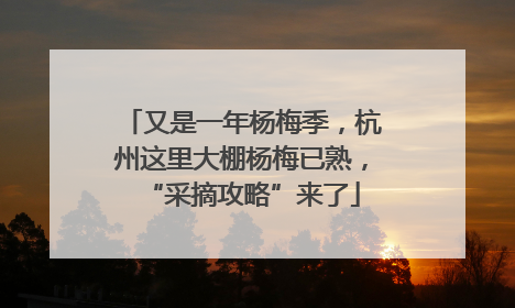 又是一年杨梅季，杭州这里大棚杨梅已熟，“采摘攻略”来了