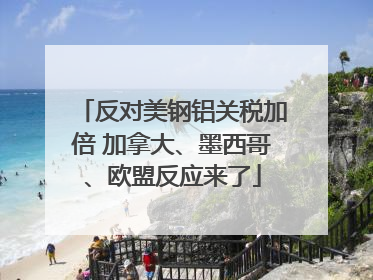 反对美钢铝关税加倍 加拿大、墨西哥、欧盟反应来了