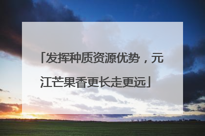 发挥种质资源优势，元江芒果香更长走更远