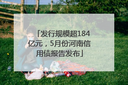 发行规模超184亿元，5月份河南信用债报告发布