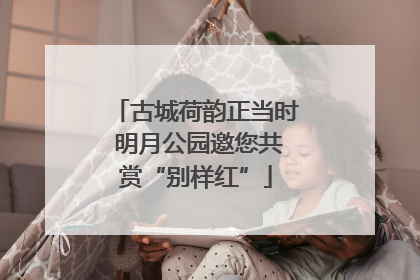 古城荷韵正当时 明月公园邀您共赏“别样红”