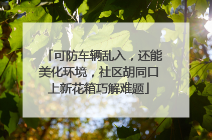 可防车辆乱入，还能美化环境，社区胡同口上新花箱巧解难题