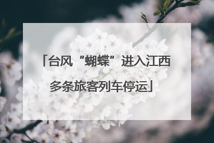 台风“蝴蝶”进入江西 多条旅客列车停运
