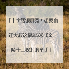 十字绣银屏秀！想要宿迁大叔这幅3.5米《金陵十二钗》的举手