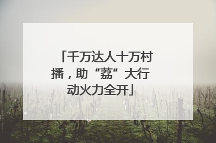 千万达人十万村播，助“荔”大行动火力全开