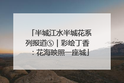 半城江水半城花系列报道⑤｜彩绘丁香：花海映照一座城