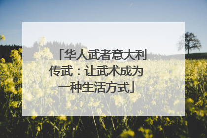 华人武者意大利传武：让武术成为一种生活方式