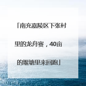 南充嘉陵区下张村里的龙舟赛，40亩的堰塘里来回跑