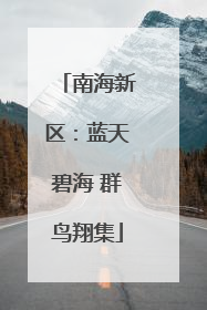 南海新区：蓝天碧海 群鸟翔集