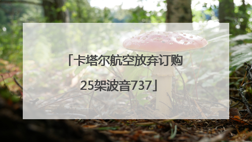 卡塔尔航空放弃订购25架波音737