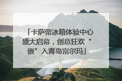 卡萨帝冰箱体验中心盛大启幕，创意狂欢“嵌”入青岛富尔玛