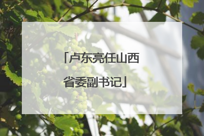 卢东亮任山西省委副书记