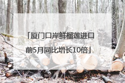 厦门口岸鲜榴莲进口 前5月同比增长10倍