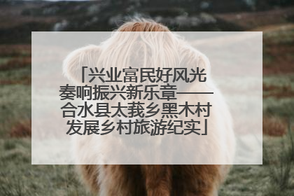 兴业富民好风光 奏响振兴新乐章——合水县太莪乡黑木村发展乡村旅游纪实