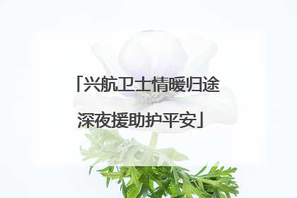 兴航卫士情暖归途 深夜援助护平安