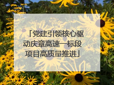 党建引领核心驱动庆章高速一标段项目高质量推进