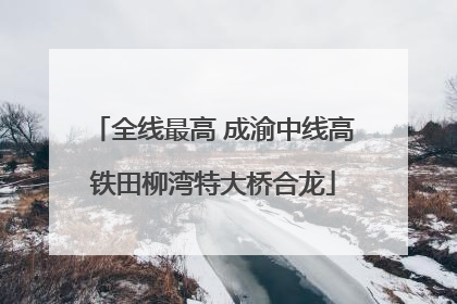 全线最高 成渝中线高铁田柳湾特大桥合龙