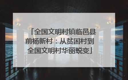 全国文明村镇临邑县前杨新村：从贫困村到全国文明村华丽蜕变