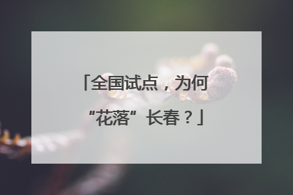 全国试点，为何“花落”长春？