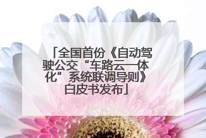 全国首份《自动驾驶公交“车路云一体化”系统联调导则》白皮书发布