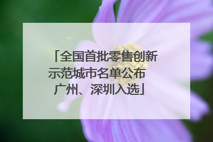 全国首批零售创新示范城市名单公布 广州、深圳入选
