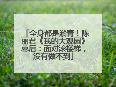 全身都是淤青！陈丽君《我的大观园》幕后：面对滚楼梯，没有做不到