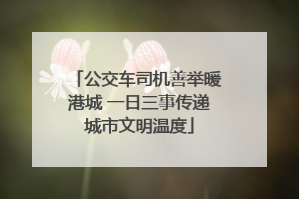公交车司机善举暖港城 一日三事传递城市文明温度