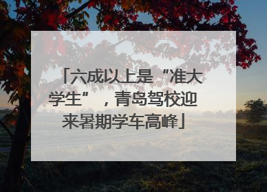 六成以上是“准大学生”，青岛驾校迎来暑期学车高峰