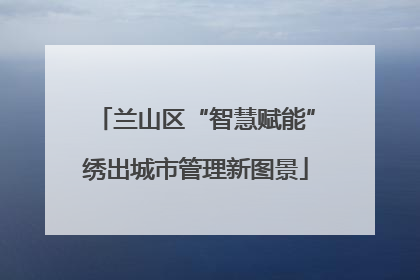 兰山区“智慧赋能”绣出城市管理新图景