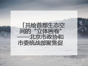 共绘首都生态空间的“立体画卷”——北京市政协和市委统战部聚焦促进绿化彩化美化生态空间建设联合协商议政
