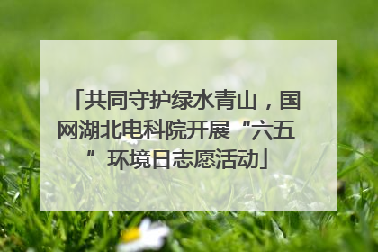 共同守护绿水青山，国网湖北电科院开展“六五”环境日志愿活动