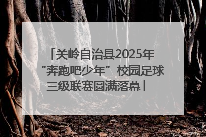 关岭自治县2025年“奔跑吧少年”校园足球三级联赛圆满落幕
