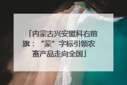 内蒙古兴安盟科右前旗：“蒙”字标引领农畜产品走向全国