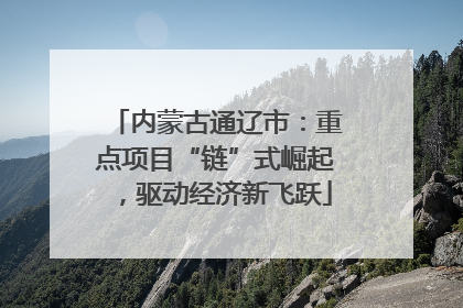 内蒙古通辽市：重点项目“链”式崛起，驱动经济新飞跃