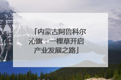 内蒙古阿鲁科尔沁旗：一棵草开启产业发展之路