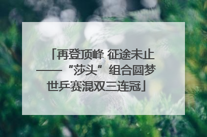 再登顶峰 征途未止——“莎头”组合圆梦世乒赛混双三连冠