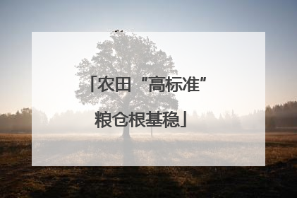农田“高标准” 粮仓根基稳