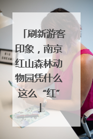 刷新游客印象，南京红山森林动物园凭什么这么“红”