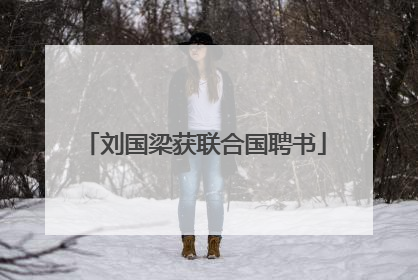 刘国梁获联合国聘书