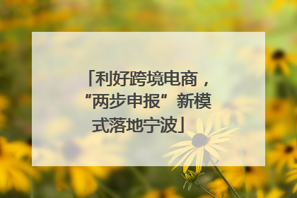 利好跨境电商，“两步申报”新模式落地宁波