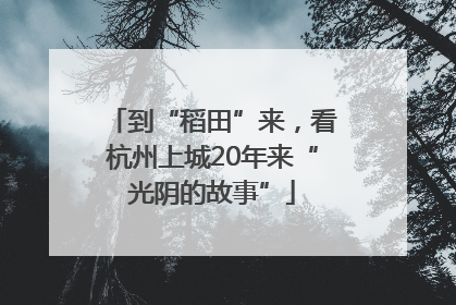 到“稻田”来，看杭州上城20年来“光阴的故事”