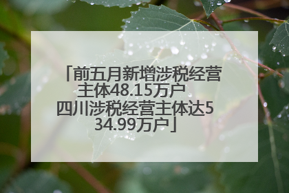 前五月新增涉税经营主体48.15万户 四川涉税经营主体达534.99万户