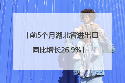 前5个月湖北省进出口同比增长26.9%