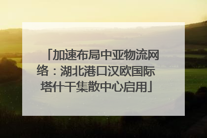 加速布局中亚物流网络：湖北港口汉欧国际塔什干集散中心启用