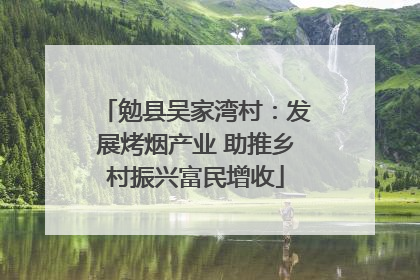 勉县吴家湾村：发展烤烟产业 助推乡村振兴富民增收