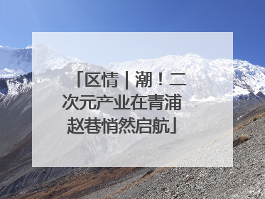 区情｜潮！二次元产业在青浦赵巷悄然启航