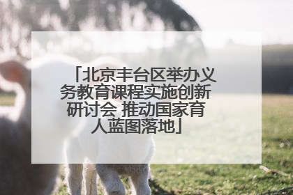 北京丰台区举办义务教育课程实施创新研讨会 推动国家育人蓝图落地