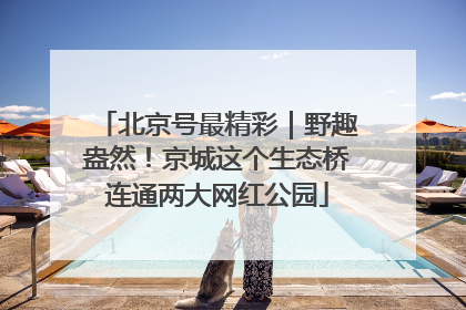 北京号最精彩｜野趣盎然！京城这个生态桥连通两大网红公园