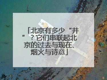 北京有多少“井”？它们串联起北京的过去与现在、烟火与诗意