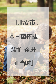 北安市：木耳菌棒挂袋忙 奋进正当时